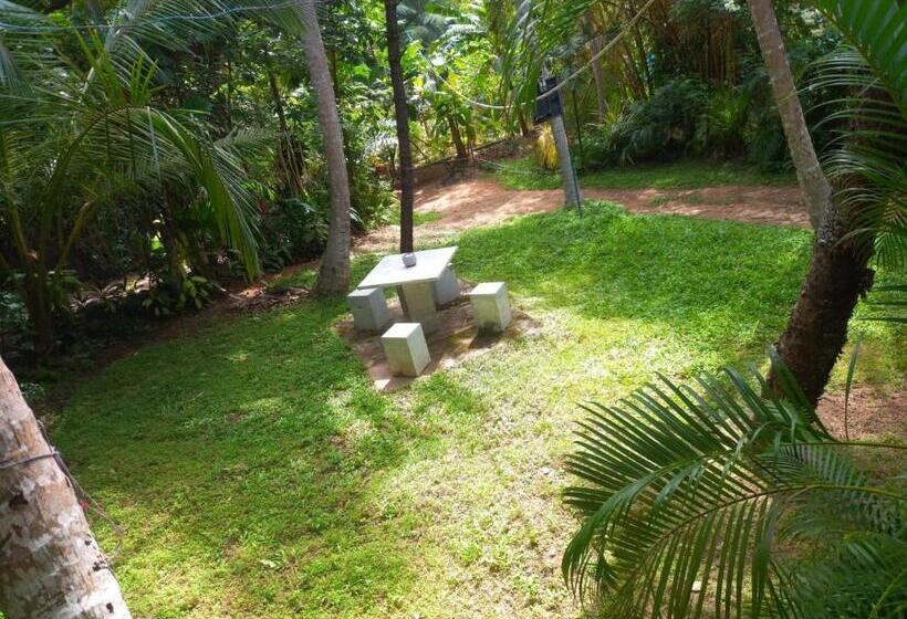 Апартаменты 1 Спальня с Балконом, Navora