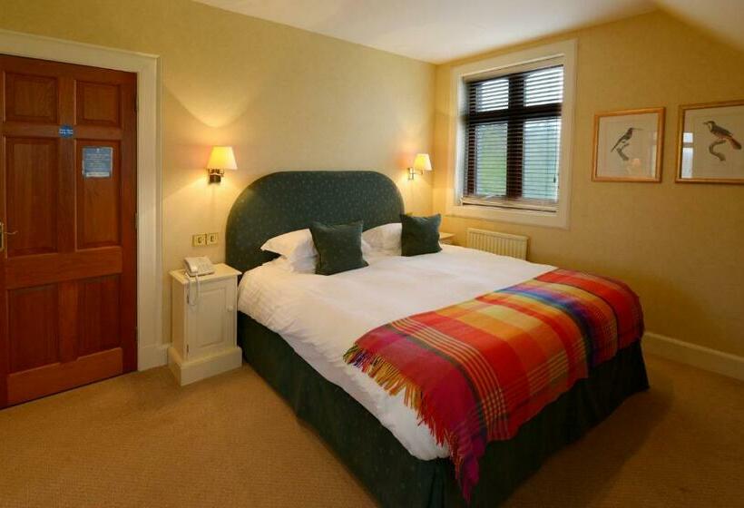 اتاق استاندارد, The Factor S Inn & Factor S Cottage