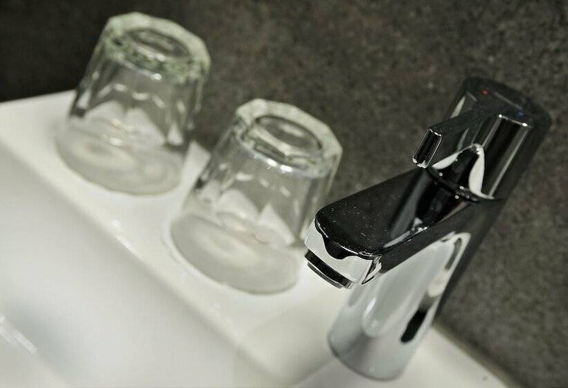 舒适型单人间, Amsterdam Forest