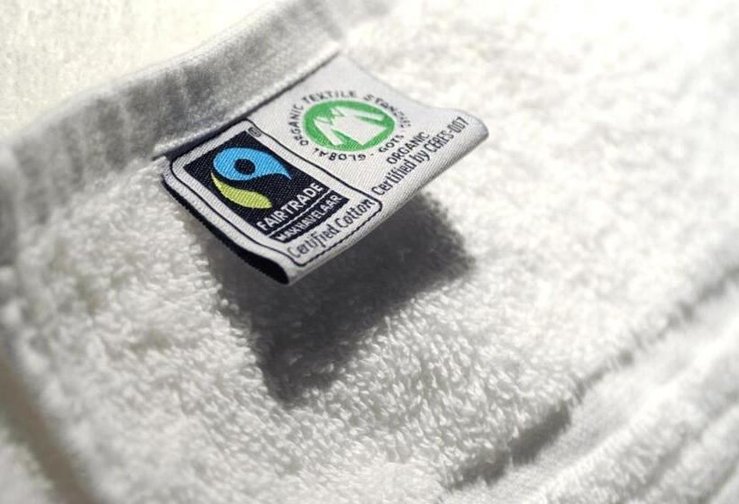 豪华房间, Amsterdam Forest