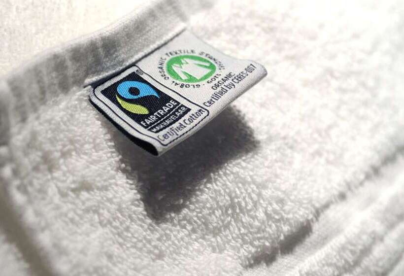 舒适型单人间, Amsterdam Forest