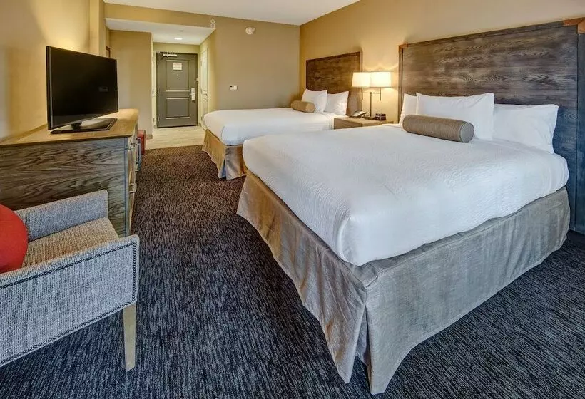 ２ダブルベッドのスタンダードルーム, Black Fox Lodge Pigeon Forge, Tapestry Collection By Hilton