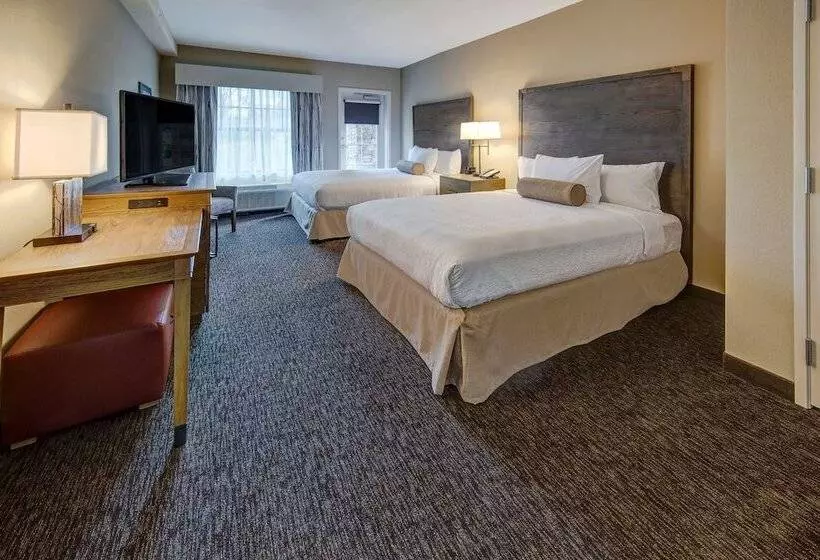 ２ダブルベッドのスタンダードルーム, Black Fox Lodge Pigeon Forge, Tapestry Collection By Hilton