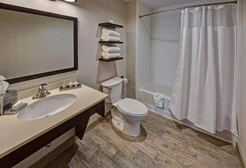 ２ベッドスイートルーム, Black Fox Lodge Pigeon Forge, Tapestry Collection By Hilton