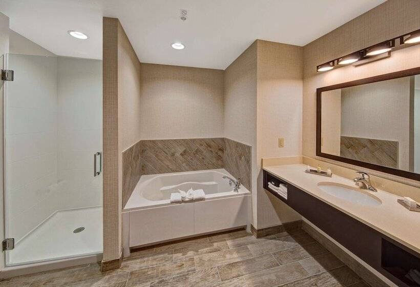 带河湖景观的套房, Black Fox Lodge Pigeon Forge, Tapestry Collection By Hilton
