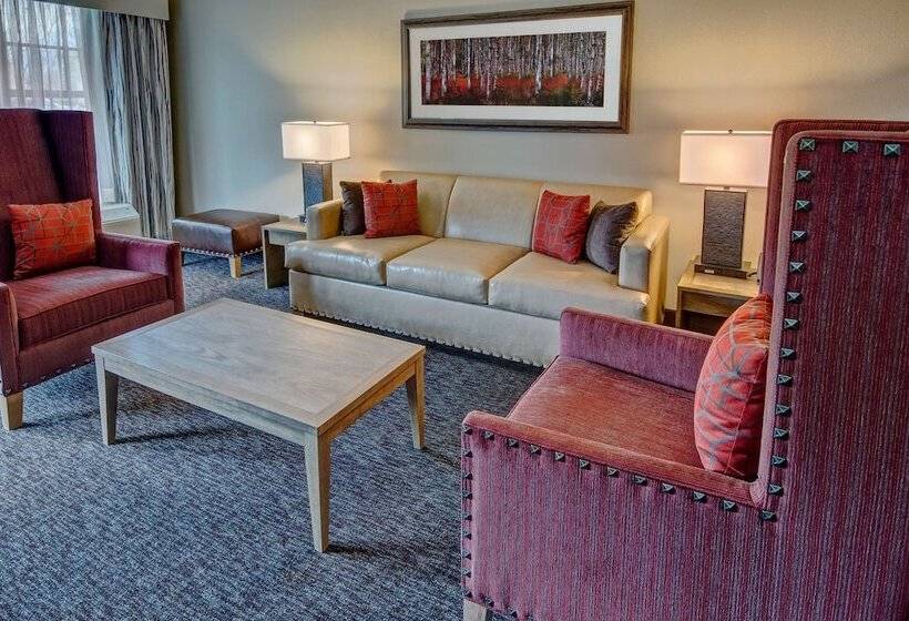سوئیت با چشمانداز رودخانه, Black Fox Lodge Pigeon Forge, Tapestry Collection By Hilton