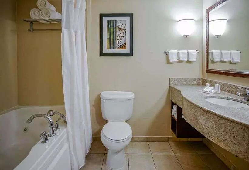 スタンダードルーム, Black Fox Lodge Pigeon Forge, Tapestry Collection By Hilton