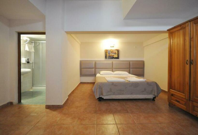 اتاق خانوادگی, Ford