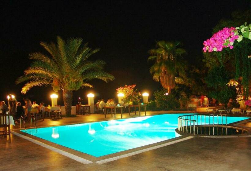 اتاق خانوادگی, Ford