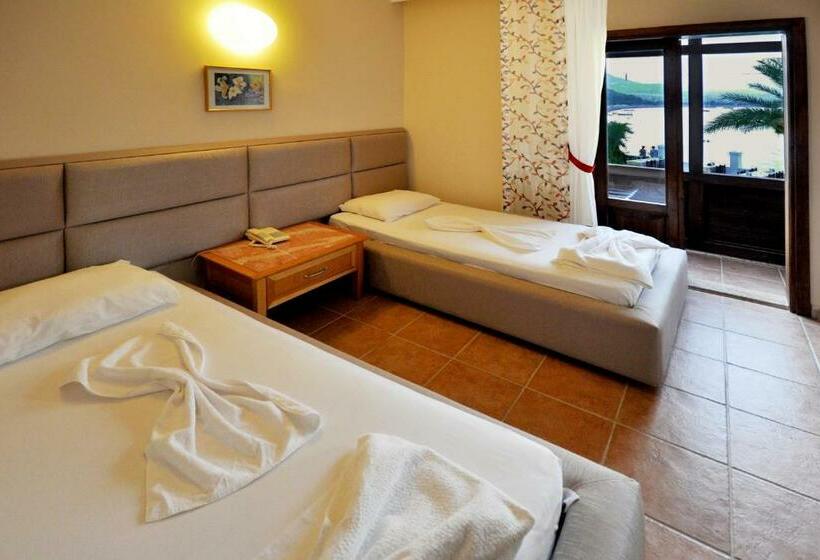 اتاق استاندارد با بالکن و چشمانداز دریا, Ford