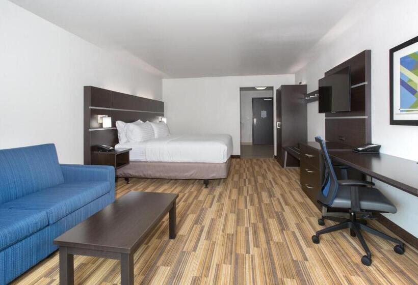 Люкс Кровать Кинг, Holiday Inn Express & Suites Rapid City Rushmore South, An Ihg