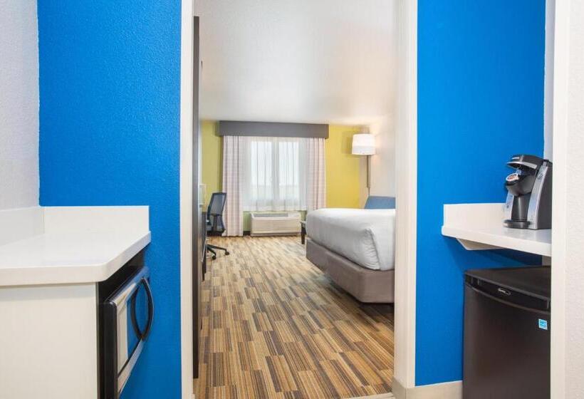 스위트 킹사이즈 침대, Holiday Inn Express & Suites   Rapid City   Rushmore South, An Ihg