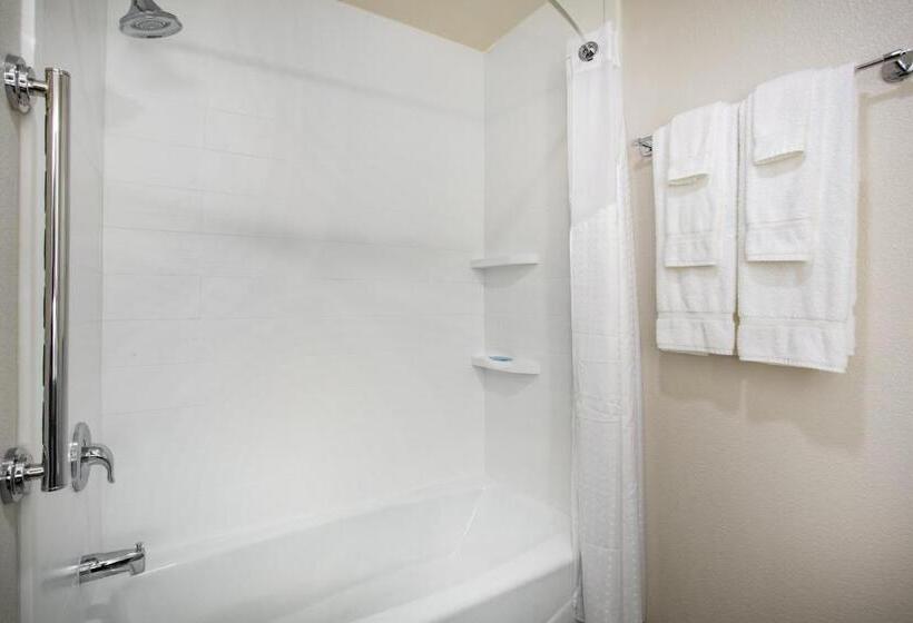 חדר סטנדרט מותאם לאדם עם מוגבלויות, Holiday Inn Express & Suites Rapid City Rushmore South, An Ihg