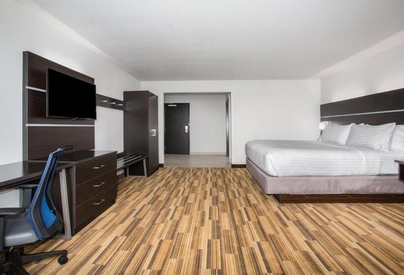 חדר סטנדרט, מיטת קינג, מותאם לאדם עם מוגבלויות, Holiday Inn Express & Suites Rapid City Rushmore South, An Ihg