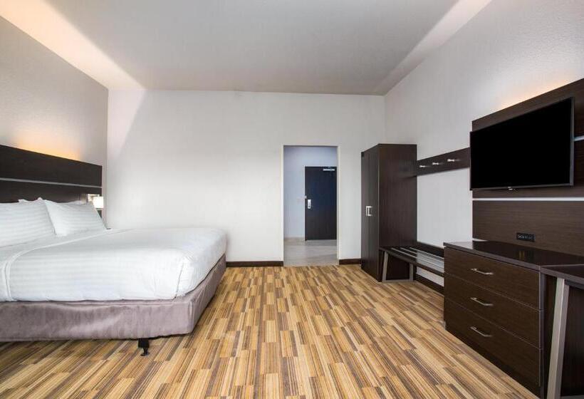 חדר סטנדרט, מיטת קינג, מותאם לאדם עם מוגבלויות, Holiday Inn Express & Suites Rapid City Rushmore South, An Ihg