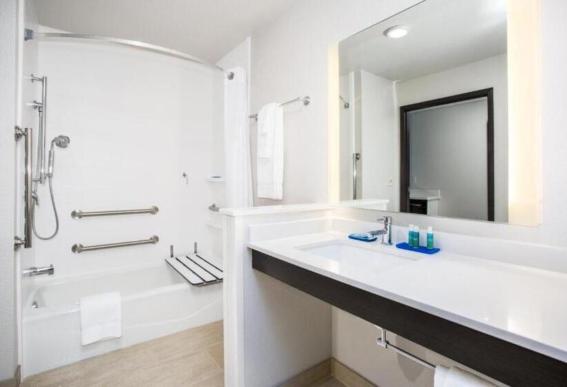 Номер Стандарт Кровать Кинг Адаптированный для Инвалидов, Holiday Inn Express & Suites Rapid City Rushmore South, An Ihg