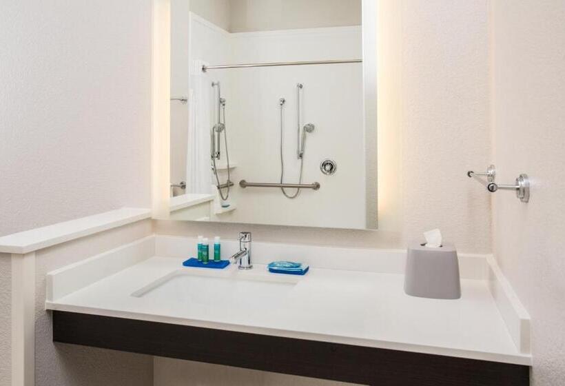 Номер Стандарт Кровать Кинг Адаптированный для Инвалидов, Holiday Inn Express & Suites Rapid City Rushmore South, An Ihg