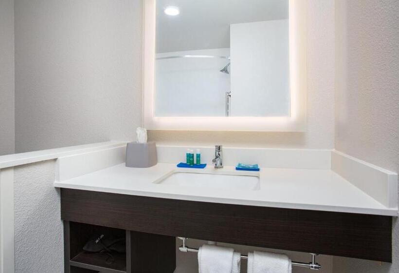 장애인을 위한 킹사이즈 침대 스탠다드 룸, Holiday Inn Express & Suites   Rapid City   Rushmore South, An Ihg