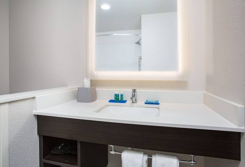 장애인을 위한 스위트, Holiday Inn Express & Suites   Rapid City   Rushmore South, An Ihg