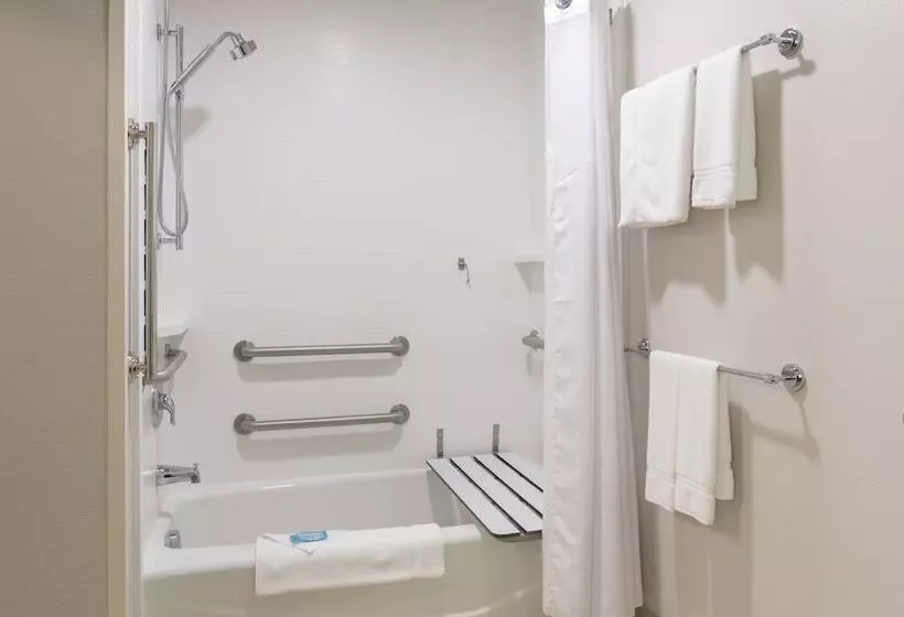 スイート, Holiday Inn Express & Suites   Rapid City   Rushmore South, An Ihg