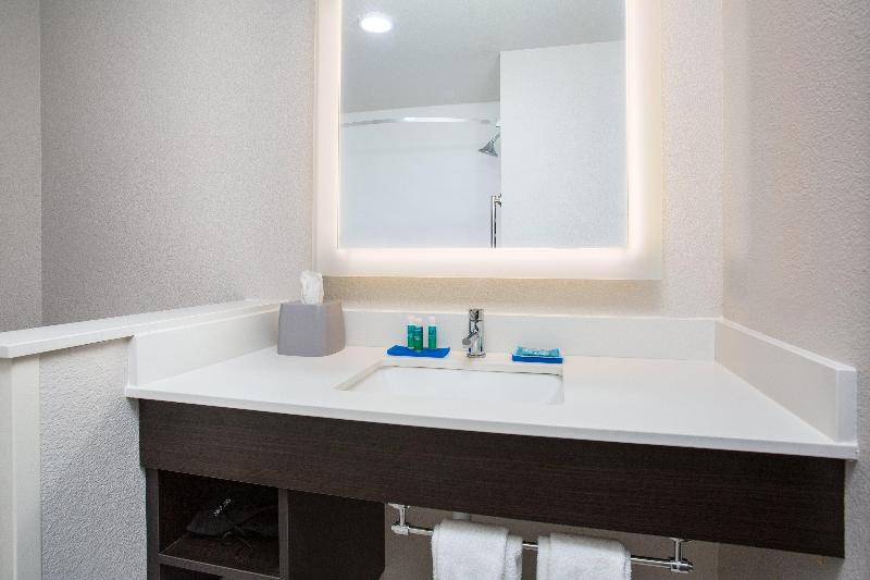 장애인을 위한 킹사이즈 침대 스탠다드 룸, Holiday Inn Express & Suites   Rapid City   Rushmore South, An Ihg