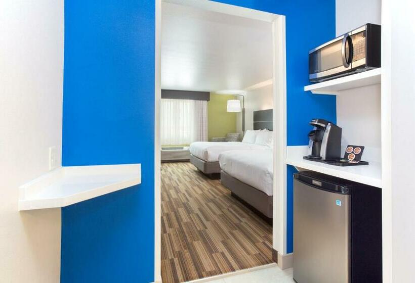 스위트, Holiday Inn Express & Suites   Rapid City   Rushmore South, An Ihg