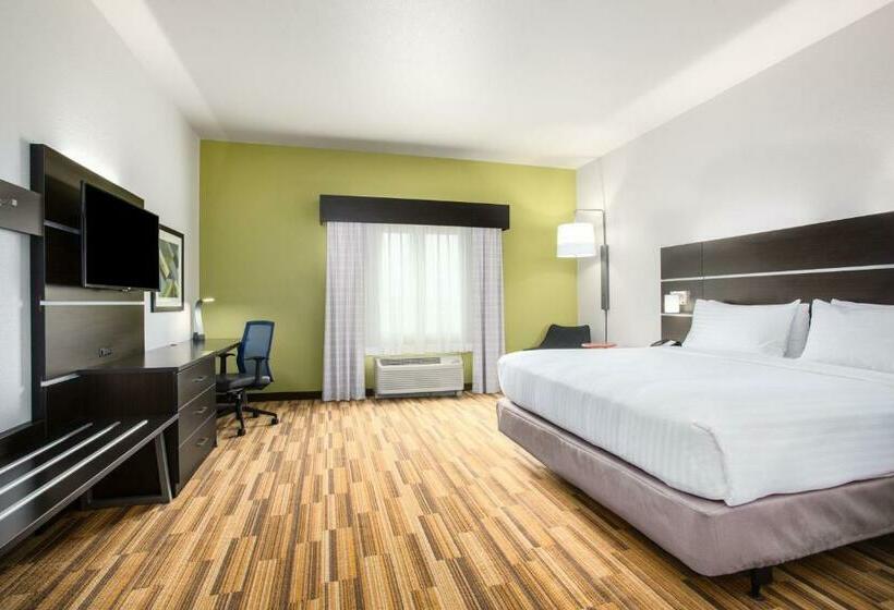 Стандартный Номер Кровать Кинг, Holiday Inn Express & Suites Rapid City Rushmore South, An Ihg