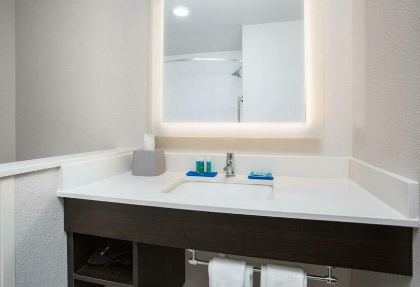 חדר סטנדרט עם מיטת קינג, Holiday Inn Express & Suites Rapid City Rushmore South, An Ihg