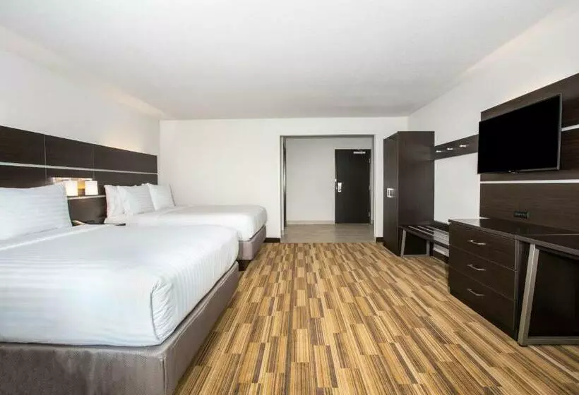 スタンダードルーム, Holiday Inn Express & Suites   Rapid City   Rushmore South, An Ihg