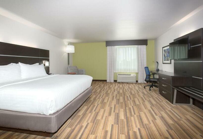 스탠다드 룸 킹사이즈 침대, Holiday Inn Express & Suites   Rapid City   Rushmore South, An Ihg