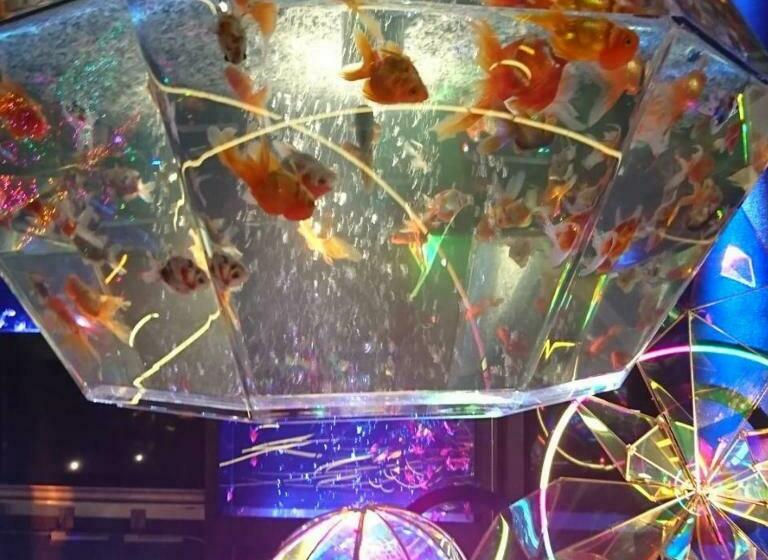 Номер Стандарт Индивидуальный, Sakaide Grand