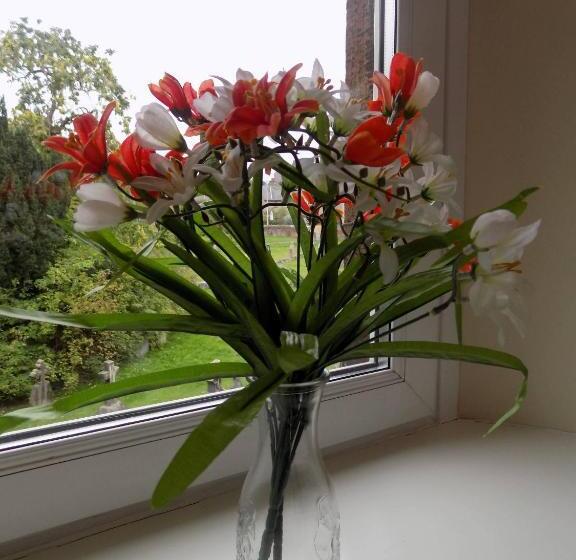 スタンダードシングルルーム, Glendale Guest House