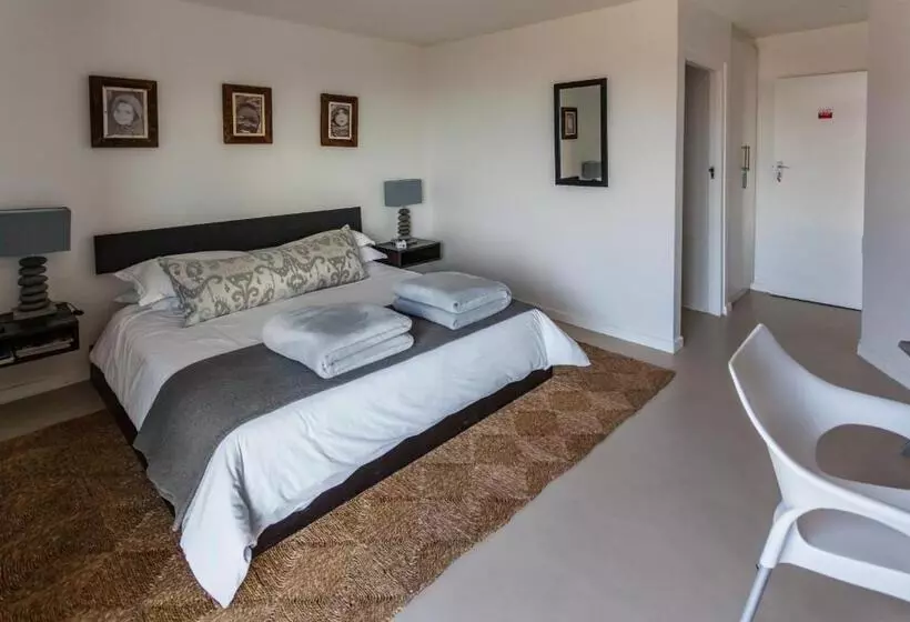 Standard-huone Merinäkymä, Agulhas Ocean House