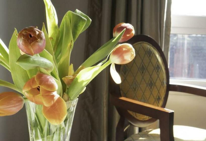 غرفة قياسية, Areca Launceston