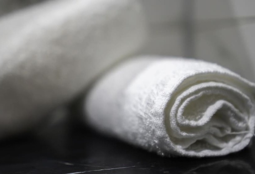 غرفة قياسية, Areca Launceston