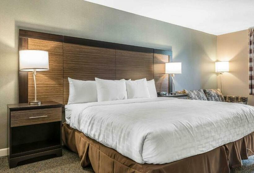 스탠다드 룸 킹사이즈 침대, Clarion Inn