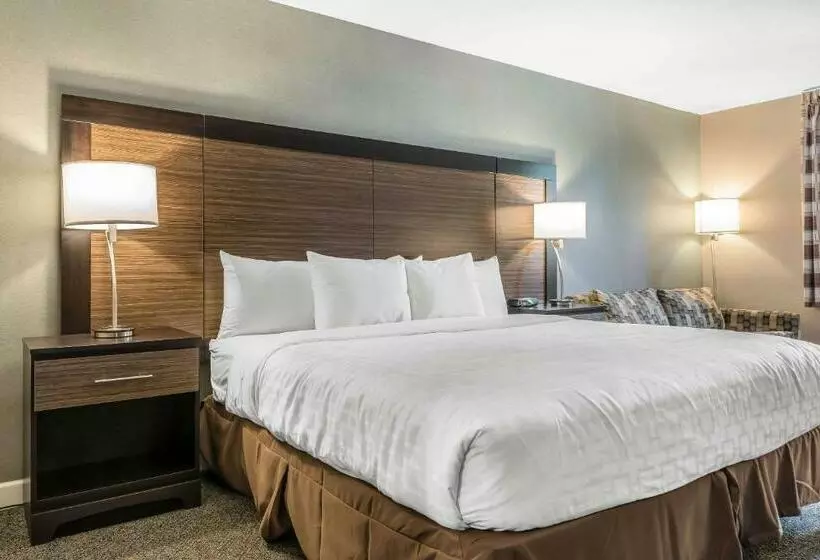 Standard-huone King-vuode, Clarion Inn