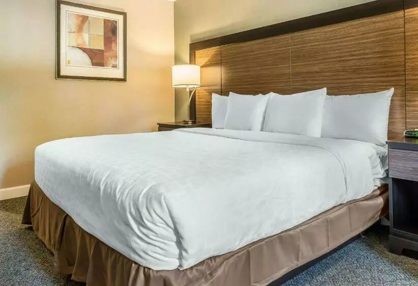 Standard-huone King-vuode, Clarion Inn