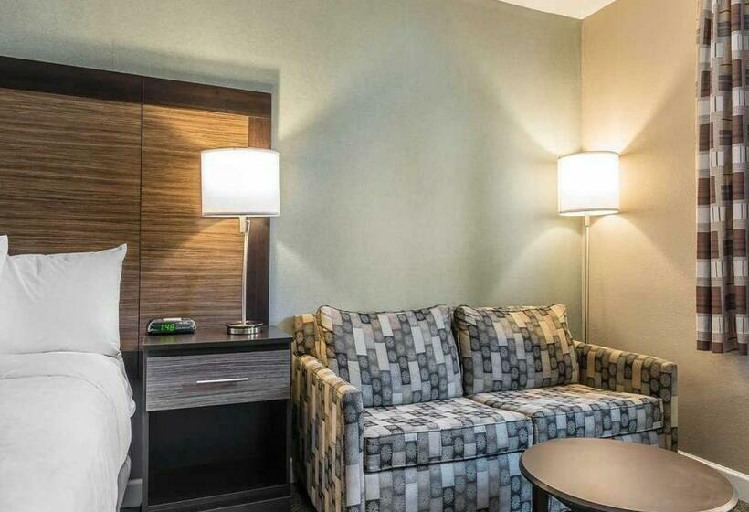 스탠다드 룸 킹사이즈 침대, Clarion Inn