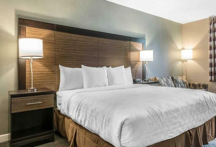 스탠다드 룸 킹사이즈 침대, Clarion Inn