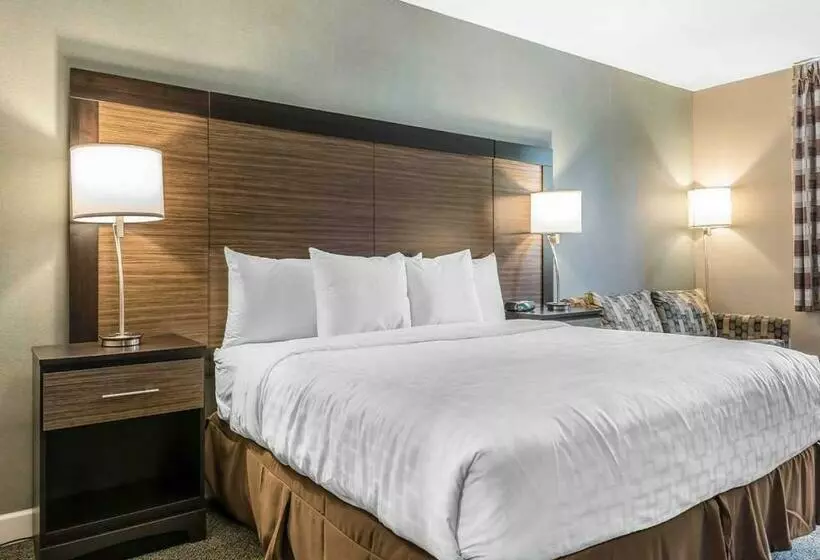 Standard-huone King-vuode, Clarion Inn
