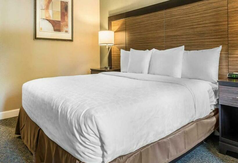 Стандартный Номер Кровать Кинг, Clarion Inn