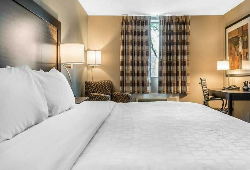 스탠다드 룸 킹사이즈 침대, Clarion Inn