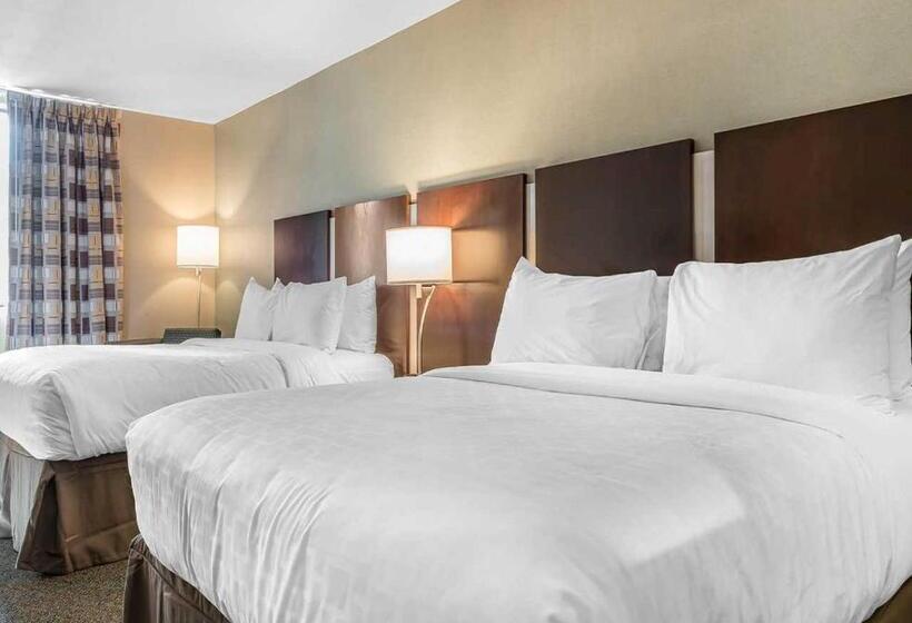 스탠다드 룸, Clarion Inn