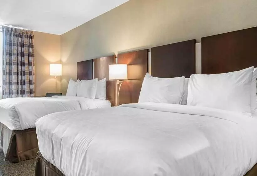 Standard-huone, Clarion Inn