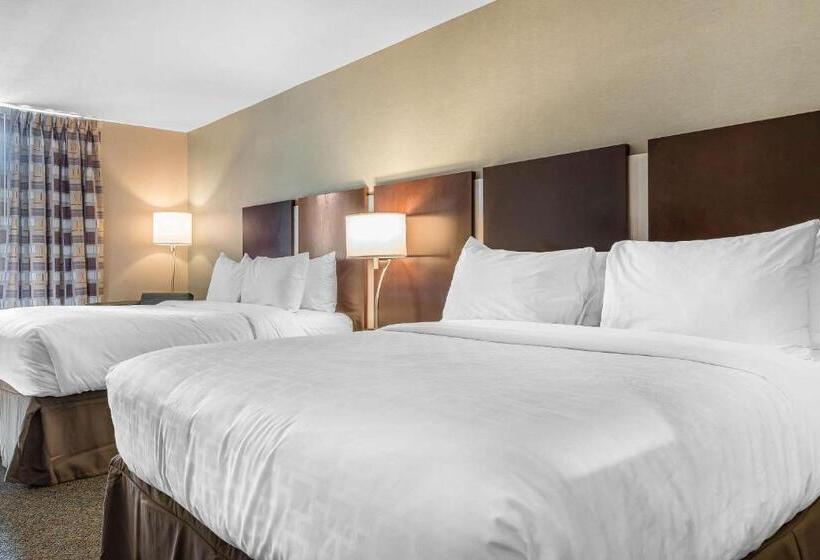 스탠다드 룸, Clarion Inn