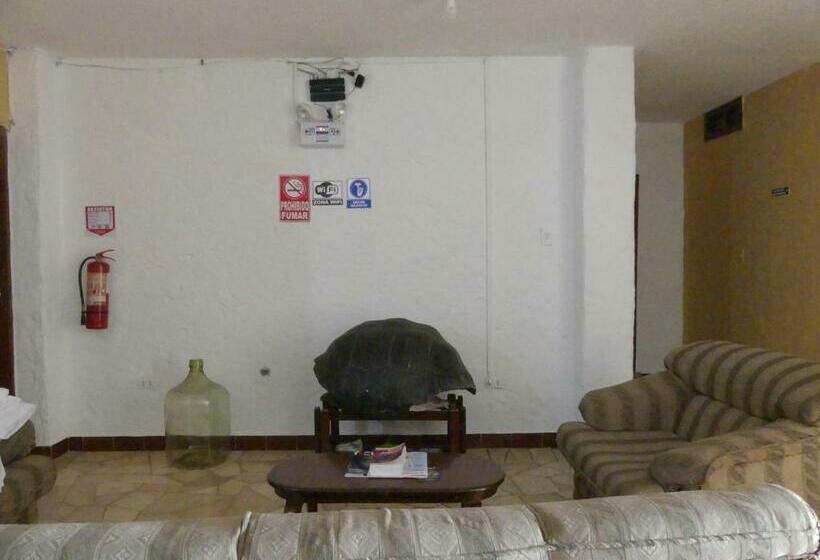 Standardzimmer mit Meerblick, Hostal Estrella De Mar