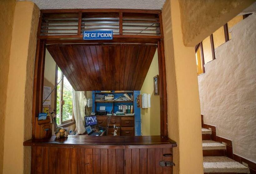 Standardzimmer mit Meerblick, Hostal Estrella De Mar