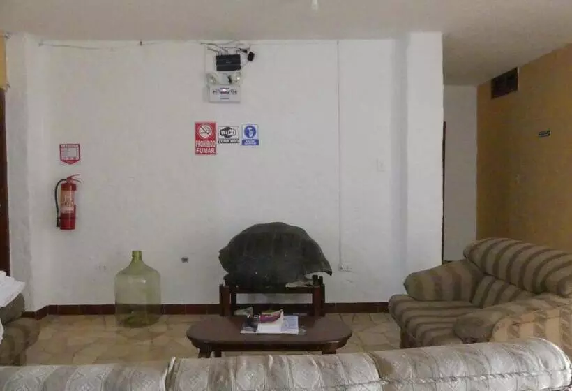 اتاق لوکس, Hostal Estrella De Mar