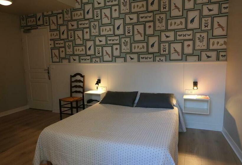 חדר קומפורט, Kapa Gorry